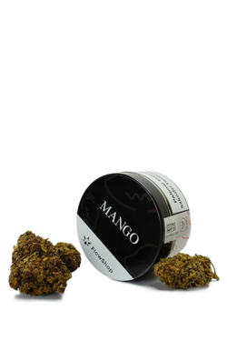 Susz CBD Mango <3,4% CBD